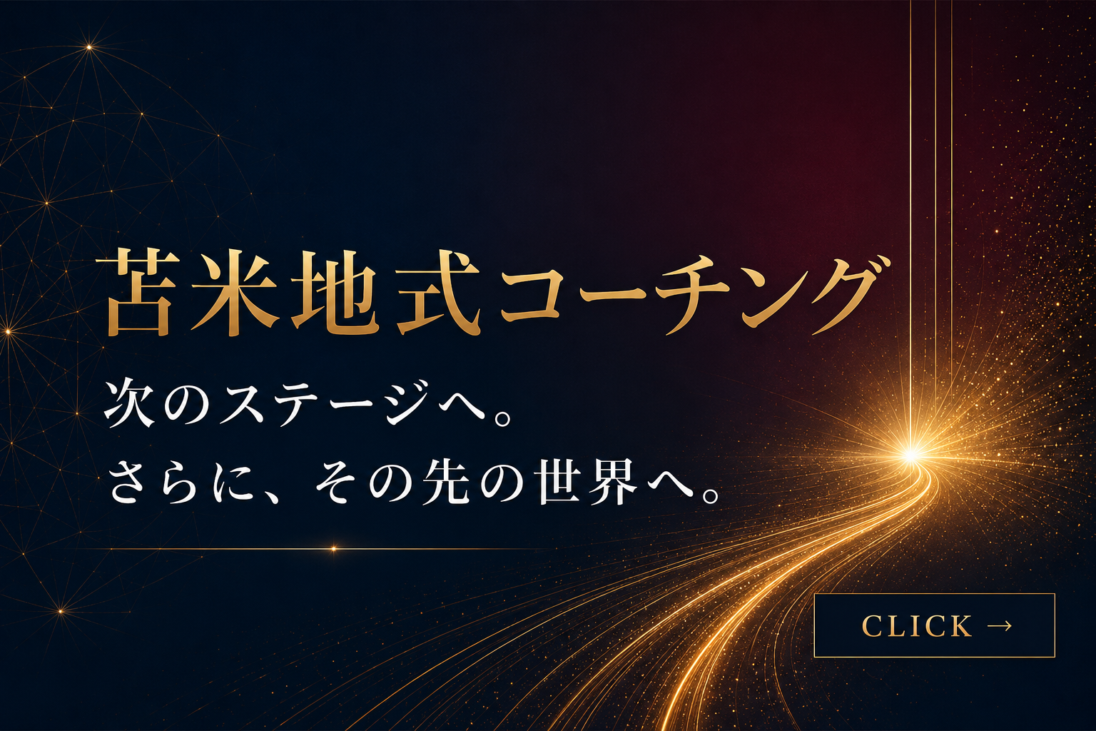苫米地式コーチング